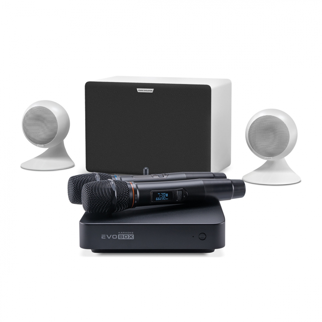 караоке-комплект EVOBOX Classic + EvoSound Sphere 2.1 в Астрахани
