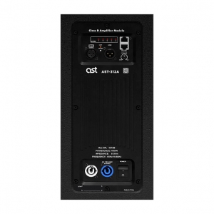 Активная акустическая система AST-312A в Астрахани